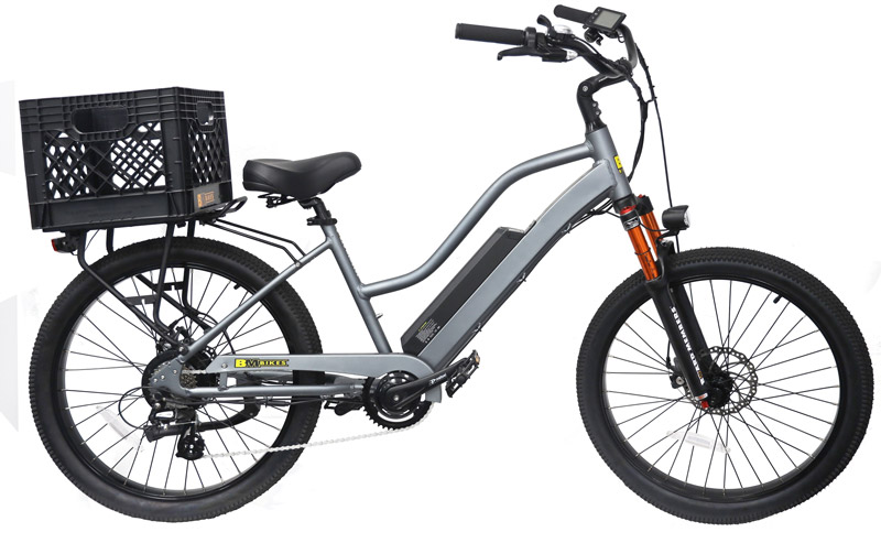 Women's Electric Bike for Sale